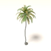 室外植物-动植物-植物-VR/AR模型-3D城