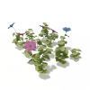 喇叭花-动植物-花草-VR/AR模型-3D城