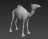 单峰驼-动植物-哺乳动物-VR/AR模型-3D城