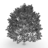 园林植物-动植物-植物-VR/AR模型-3D城