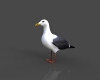 海鸥-动植物-鸟类-VR/AR模型-3D城