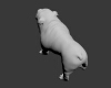 斗牛犬-动植物-哺乳动物-VR/AR模型-3D城