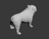 斗牛犬-动植物-哺乳动物-VR/AR模型-3D城