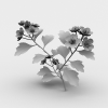 花-动植物-花草-VR/AR模型-3D城