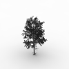 树-动植物-植物-VR/AR模型-3D城