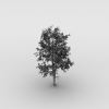 树-动植物-植物-VR/AR模型-3D城
