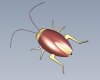 insects-动植物-昆虫-VR/AR模型-3D城