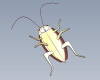 insects-动植物-昆虫-VR/AR模型-3D城