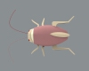 insects-动植物-昆虫-VR/AR模型-3D城