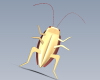 insects-动植物-昆虫-VR/AR模型-3D城