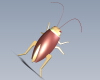 insects-动植物-昆虫-VR/AR模型-3D城