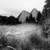 日落-动植物-其它-VR/AR模型-3D城