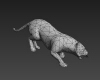 老虎-动植物-哺乳动物-VR/AR模型-3D城