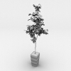 室内植物-动植物-盆栽-VR/AR模型-3D城
