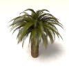 室外植物-动植物-植物-VR/AR模型-3D城