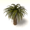 室外植物-动植物-植物-VR/AR模型-3D城