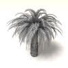 室外植物-动植物-植物-VR/AR模型-3D城