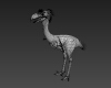 恐鹤-动植物-鸟类-VR/AR模型-3D城