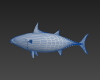 鲣鱼-动植物-鱼类-VR/AR模型-3D城