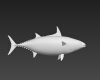 鲣鱼-动植物-鱼类-VR/AR模型-3D城