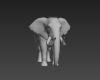大象-动植物-哺乳动物-VR/AR模型-3D城