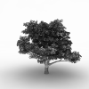树-动植物-植物-VR/AR模型-3D城
