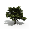 树-动植物-植物-VR/AR模型-3D城