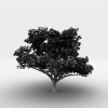 树-动植物-植物-VR/AR模型-3D城