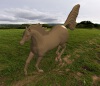 arabian-horse-文体生活-其它-工业CAD模型-3D城