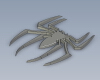 spider-动植物-昆虫-VR/AR模型-3D城