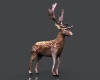 梅花鹿-动植物-哺乳动物-VR/AR模型-3D城
