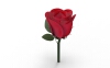 rose-solidworks-文体生活-其它-工业CAD模型-3D城