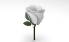 rose-solidworks-文体生活-其它-工业CAD模型-3D城