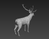 小鹿-动植物-哺乳动物-VR/AR模型-3D城