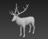 小鹿-动植物-哺乳动物-VR/AR模型-3D城