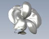 flower-phalaenopsis-文体生活-其它-工业CAD模型-3D城