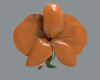 flower-phalaenopsis-文体生活-其它-工业CAD模型-3D城