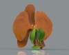 flower-phalaenopsis-文体生活-其它-工业CAD模型-3D城