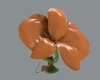 flower-phalaenopsis-文体生活-其它-工业CAD模型-3D城