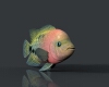 尼罗口孵非鲫-动植物-鱼类-VR/AR模型-3D城