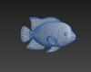 尼罗口孵非鲫-动植物-鱼类-VR/AR模型-3D城