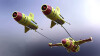 Pod Racer Yellow Fury nr 46-科技-其它-工业CAD模型-3D城