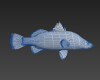 盲曹鱼-动植物-鱼类-VR/AR模型-3D城