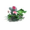 假山-动植物-花草-VR/AR模型-3D城