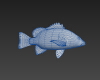 紫红笛鲷-动植物-鱼类-VR/AR模型-3D城
