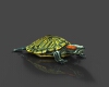 巴西红耳龟-动植物-爬行动物-VR/AR模型-3D城