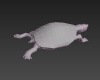 巴西红耳龟-动植物-爬行动物-VR/AR模型-3D城