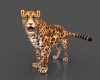 豹子-动植物-哺乳动物-VR/AR模型-3D城