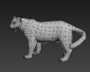 豹子-动植物-哺乳动物-VR/AR模型-3D城