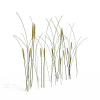 芦苇-动植物-植物-VR/AR模型-3D城